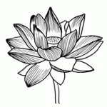 kako