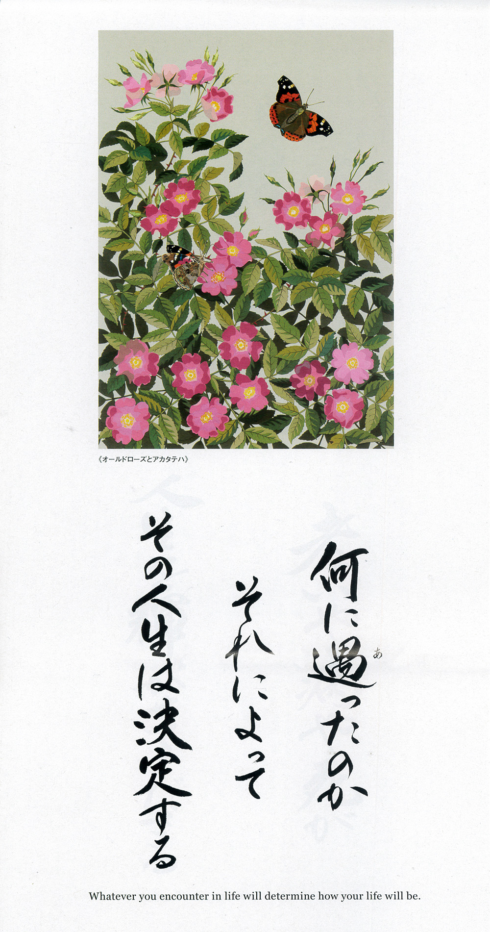 梯賞園和上