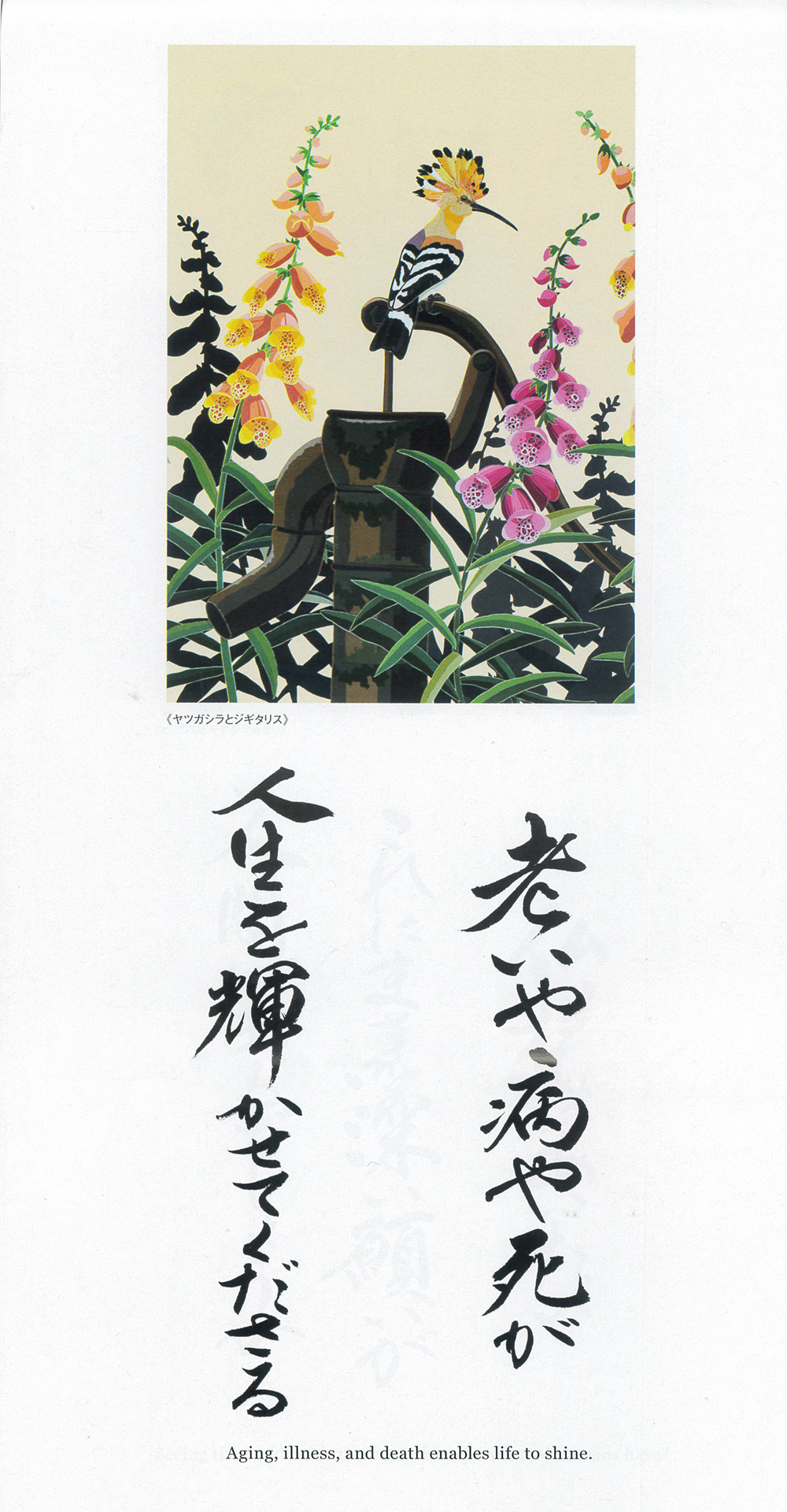 蓮の花と水面